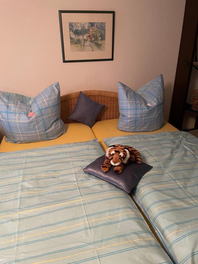Schoene Ferienwohnung In Bahnhofsnaehe Fuer Urlaub, Studium Oder Arbeit Deggendorf Exteriér fotografie